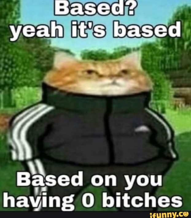 Basea? yeah it's based
Based on you having 0 bitches