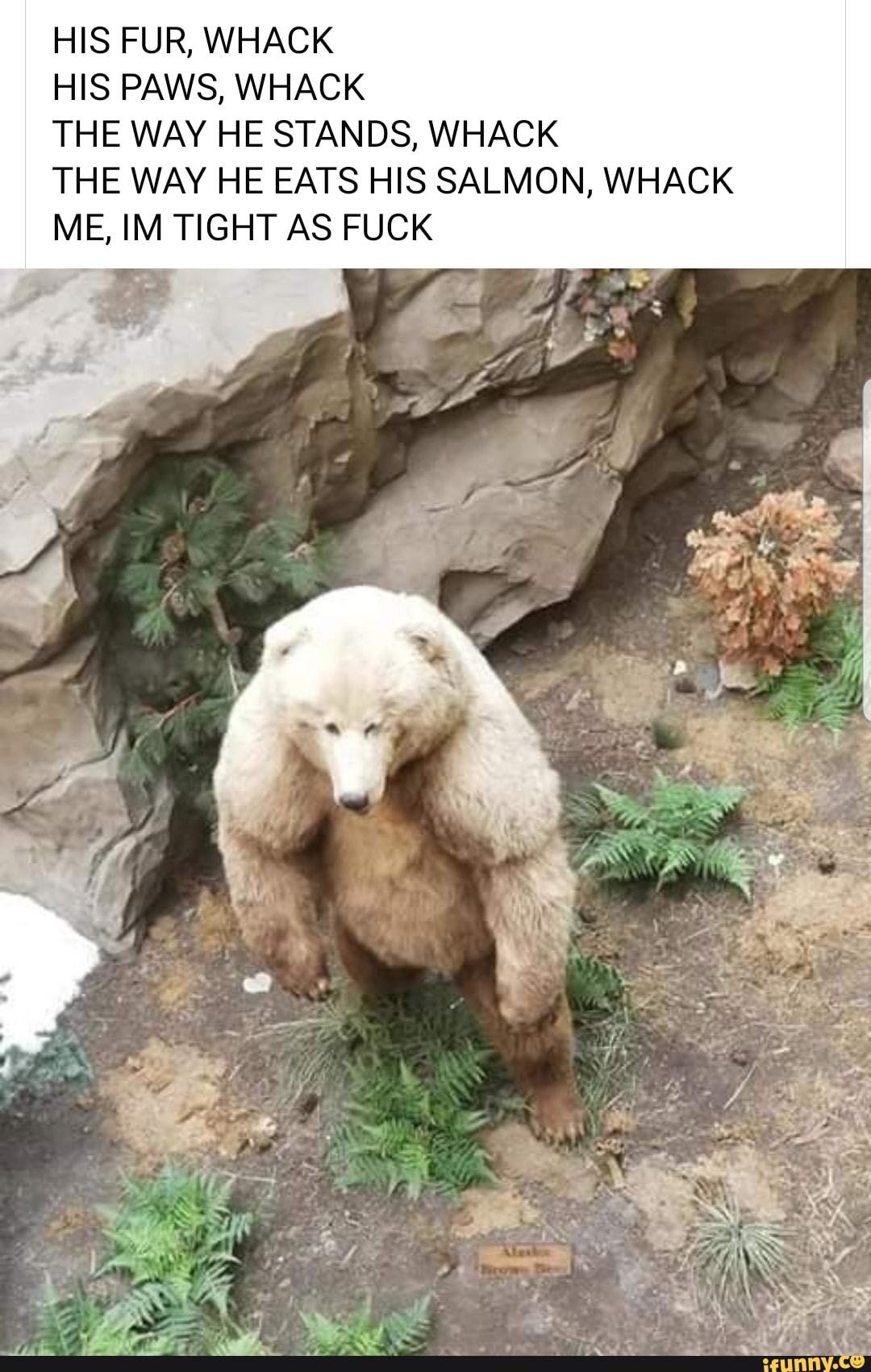 HIS FUR, WHACK
HIS PAWS, WHACK
THE WAY HE STANDS, WHACK
THE WAY HE EATS HIS SALMON, WHACK
ME, IM TIGHT AS FUCK