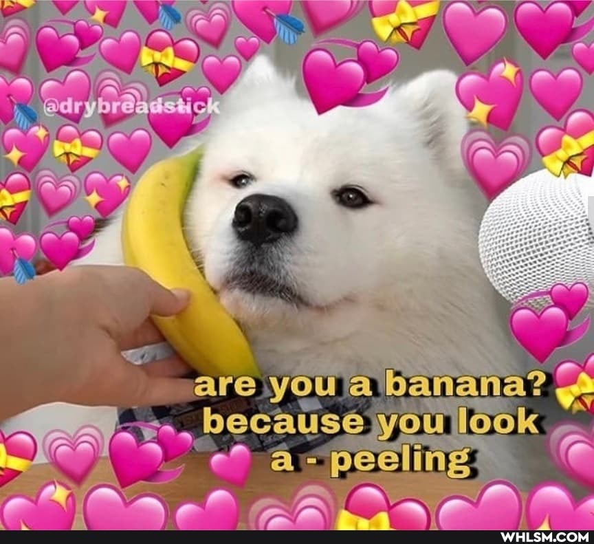 Oas
aA
are you a banana? because you look