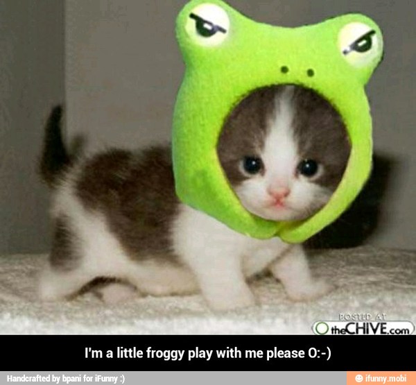 Em
a
little froggy play with me please O:-) - I'm a little froggy play with me please O:-)