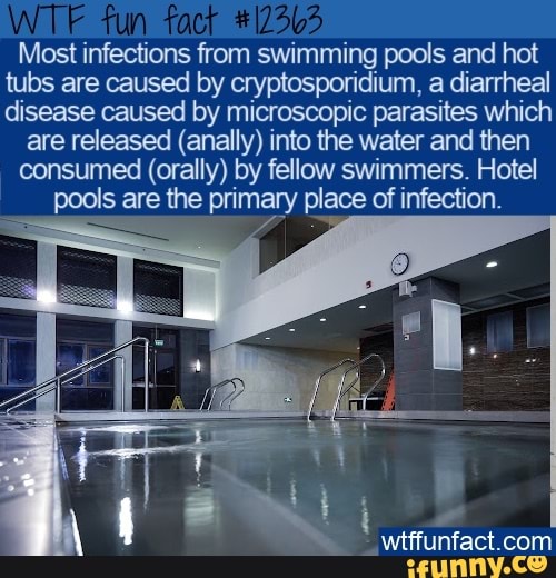 Fun Most infections from swimming pools and hot tubs are caused by