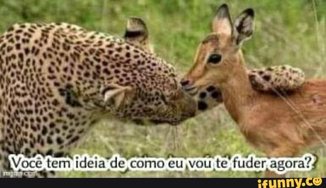 Você tem ideia de .como eu ,vou te fuder, agora??