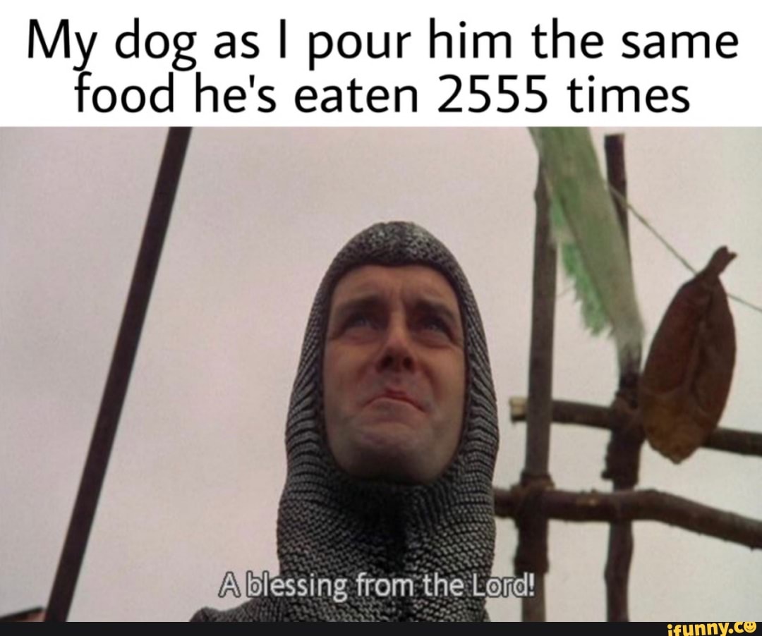 Should You Always Feed Your Dog The Same Food