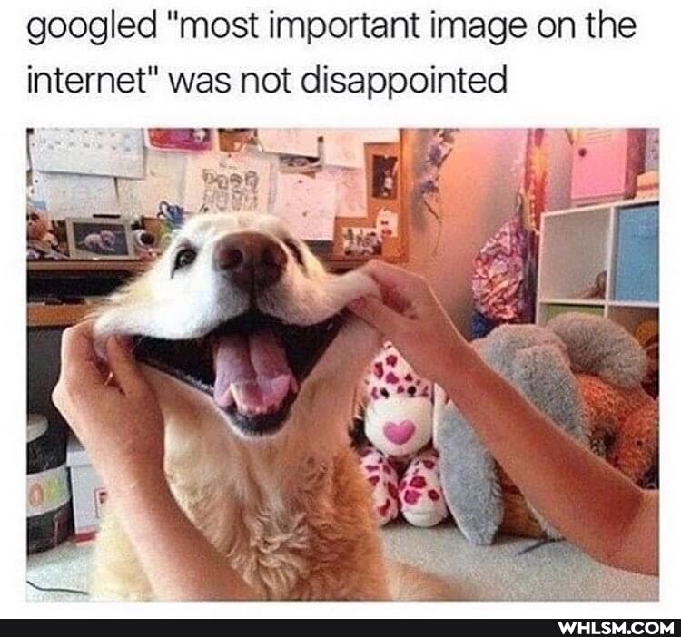 googled "most important image on the internet" was not disappointed