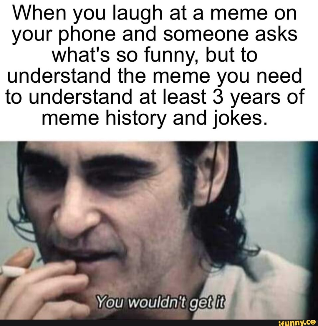 When you laugh at a meme on your phone and someone asks what's so funny ...