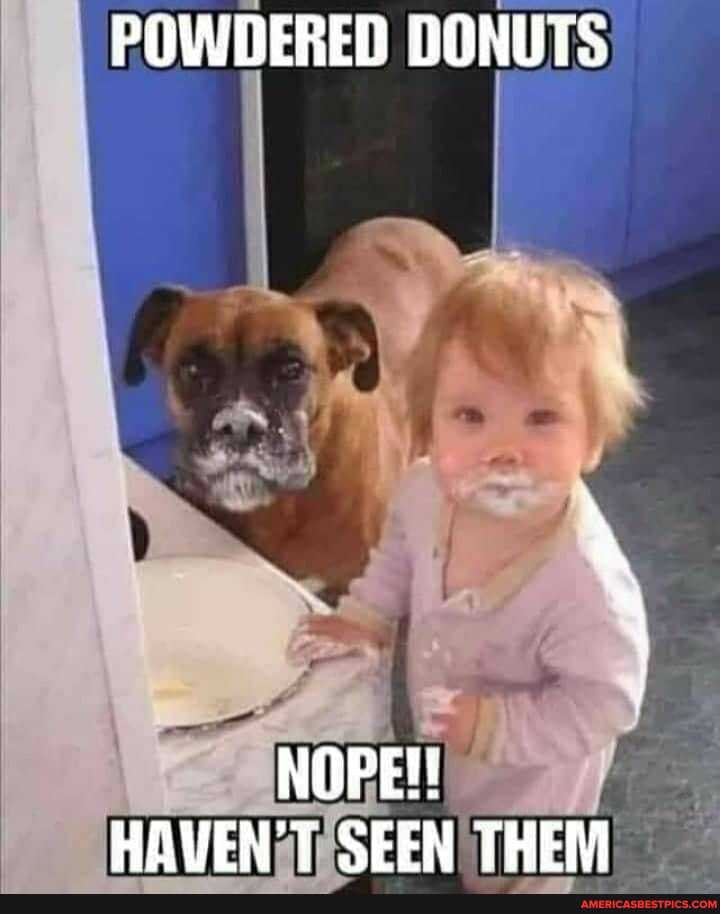 POWDERED DONUTS
NOPE!
HAVEN'T SEEN THEM
