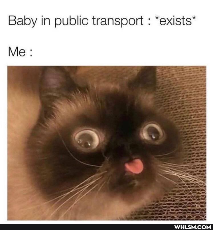 Baby in public transport : *exists*
Me:
SS