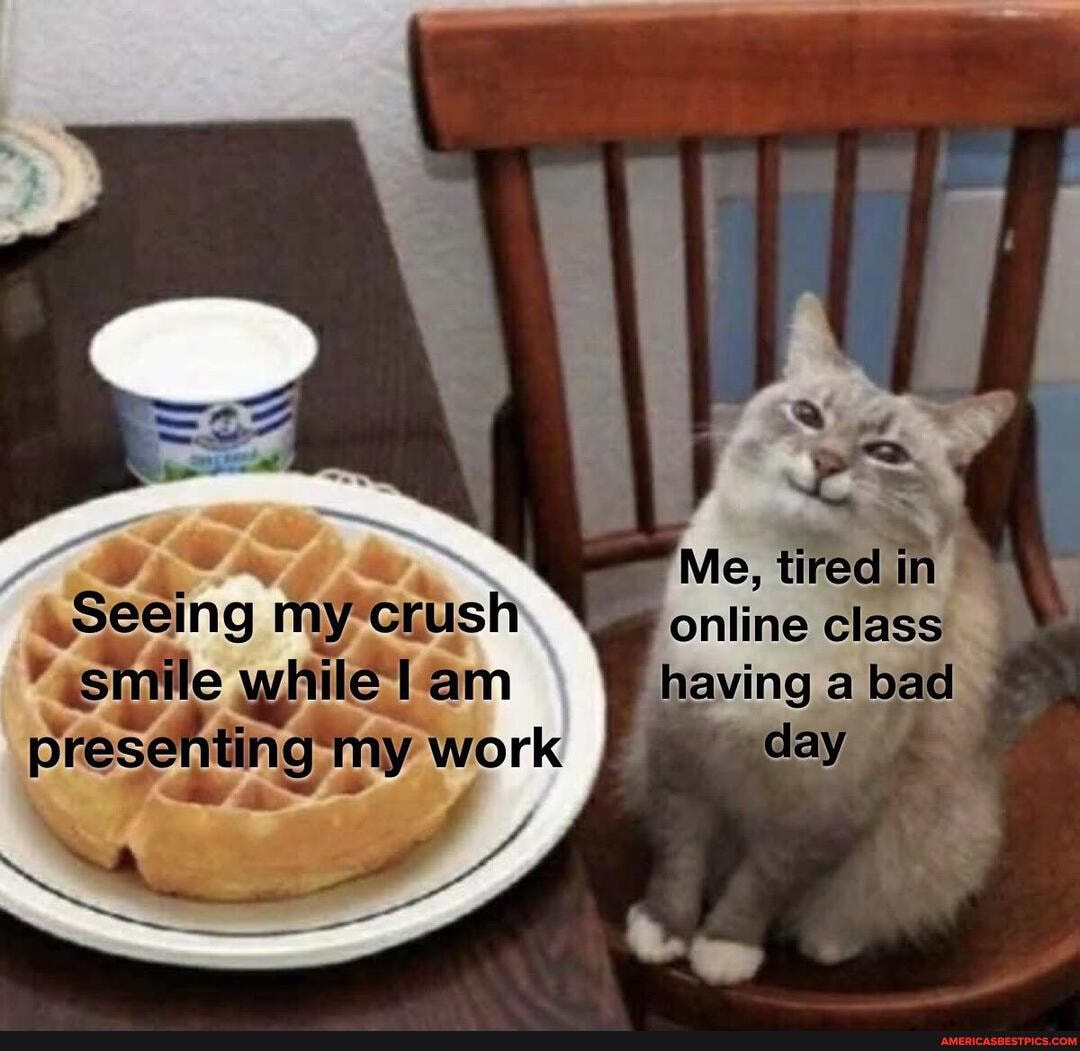 Me, tired
See ing erush online class le am having a bad prese in -my work day