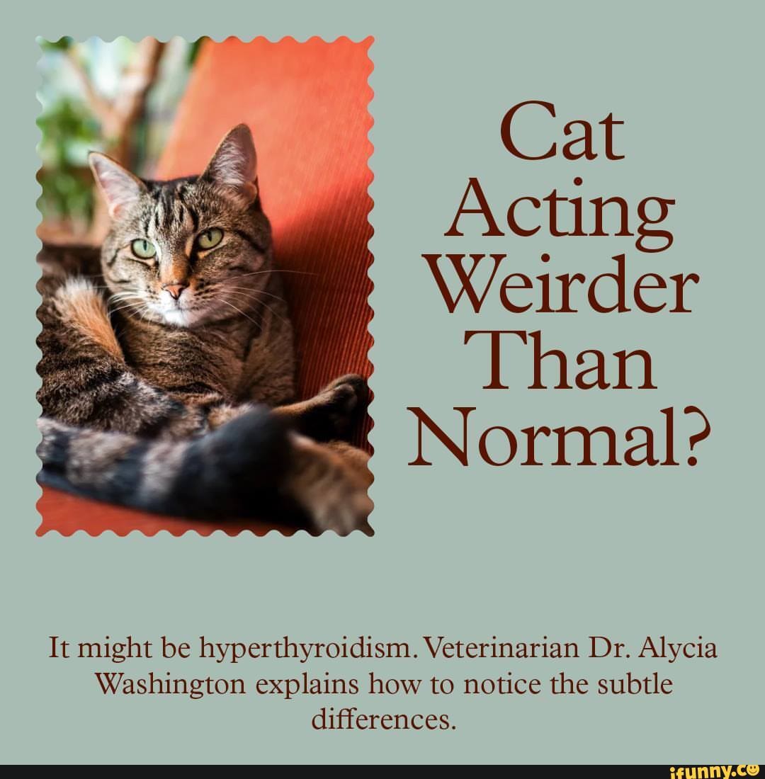Hyperthyroidism memes. Best Collection of funny Hyperthyroidism ...
