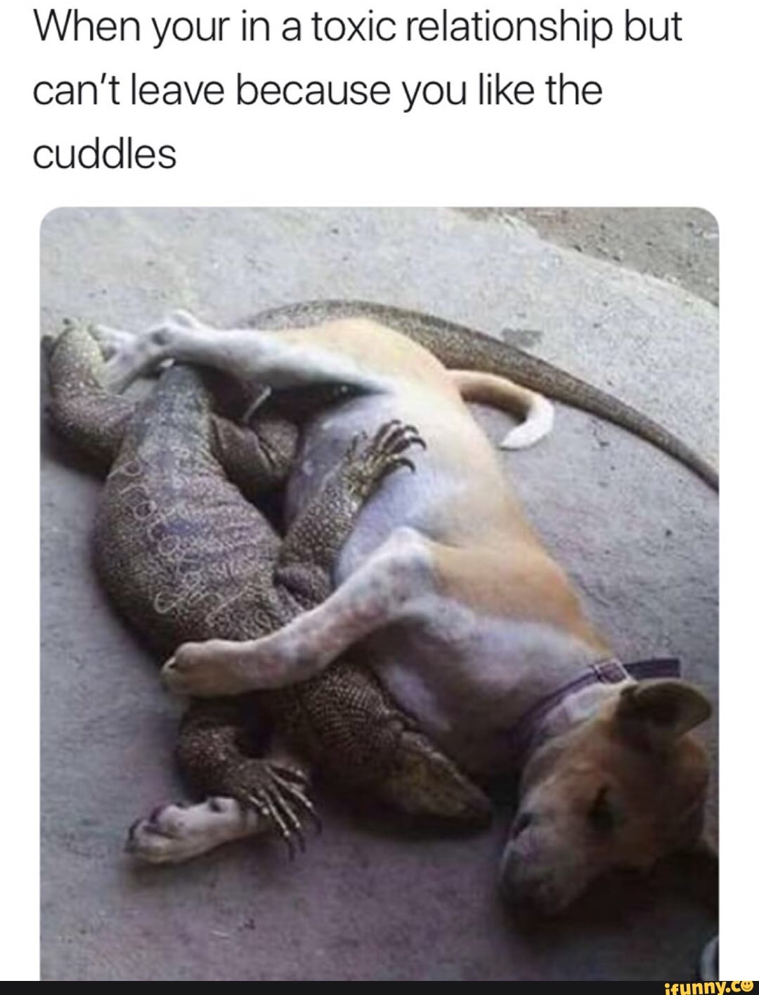 When your in a toxic relationship but
can't leave because you like the
cuddles