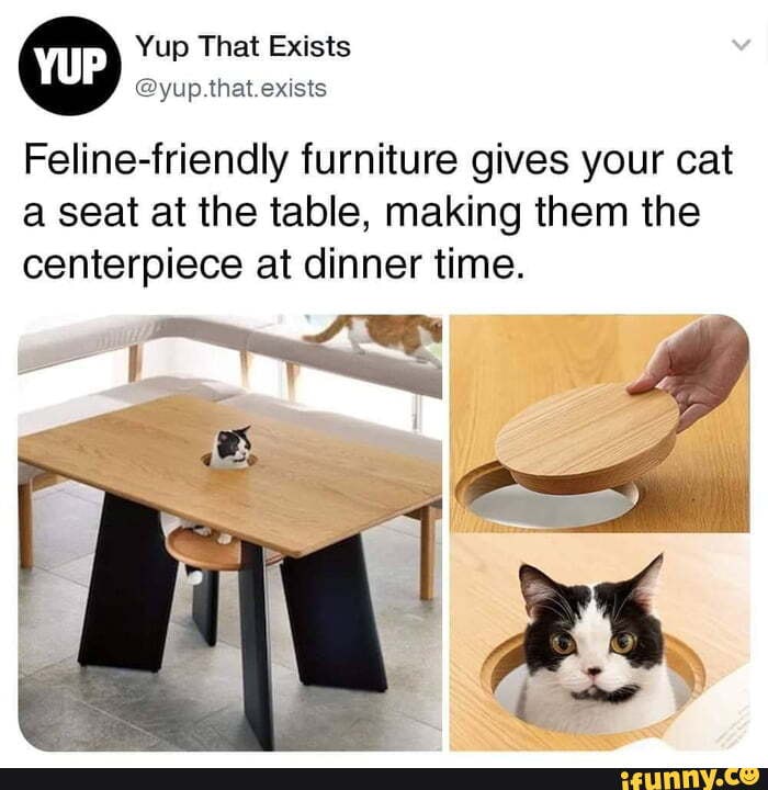 Yup That Exists Pat Sts Felinefriendly furniture gives your cat a seat