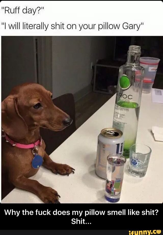 Ruff Day I Will Literally Shit On Your Pillow Gary Why The