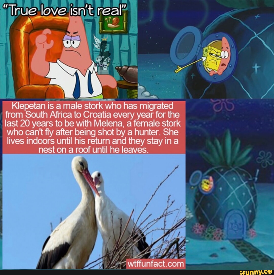 Humpty Dumpty had a great fall - iFunny