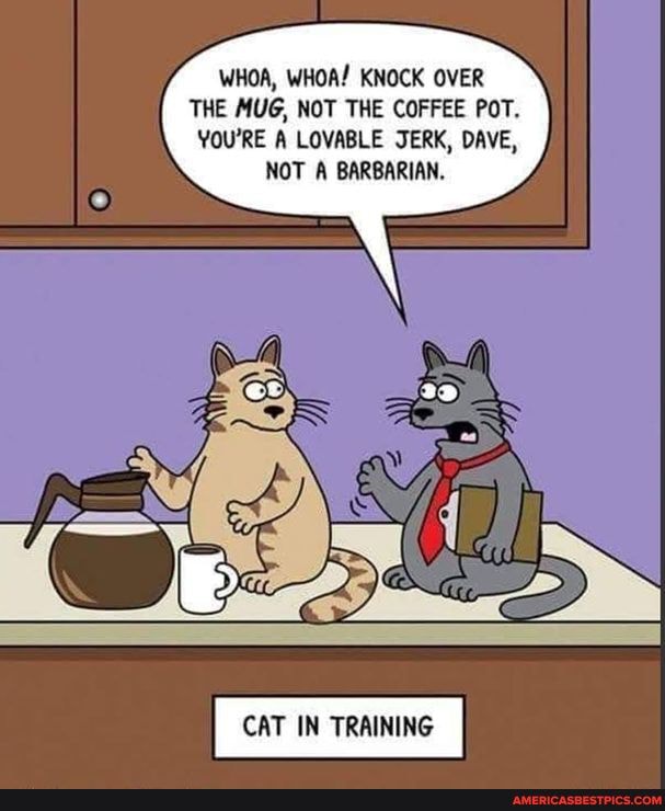 WHOA, WHOA/ KNOCK OVER THE MUG, NOT THE COFFEE POT.
YOU'RE A LOVABLE JERK, DAVE,
NOT A BARBARIAN.
CAT IN TRAINING