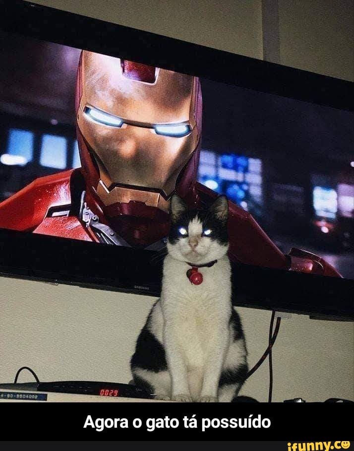 FEI
Agora o gato tá possuído - Agora o gato tá possuído