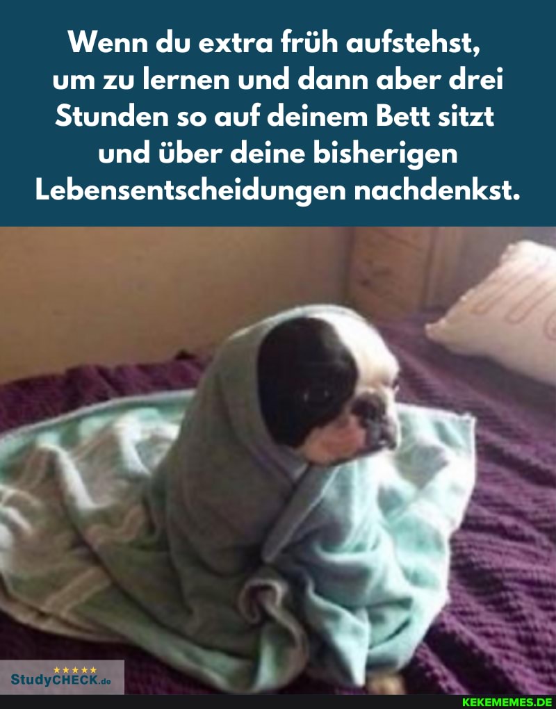 Wenn du extra früh aufstehst, um zu lernen und dann aber drei
Stunden so auf deinem Bett sitzt
und über deine bisherigen
Lebensentscheidungen nachdenkst.
IN