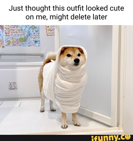 Just thought this outfit looked cute on me, might delete later - iFunny