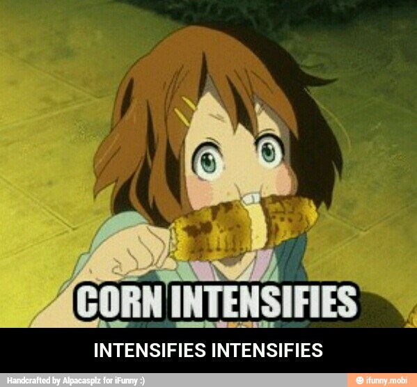 INTENSIFIES INTENSIFIES - INTENSIFIES INTENSIFIES