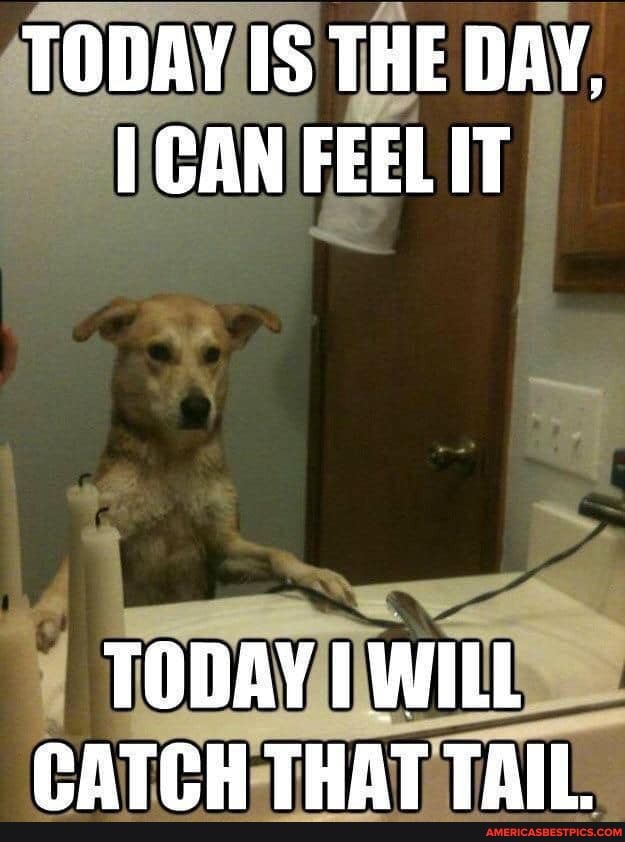TODAY IS THE DAY,
CAN FEEL IT
TODAY I WILL CATCH THAT TAIL