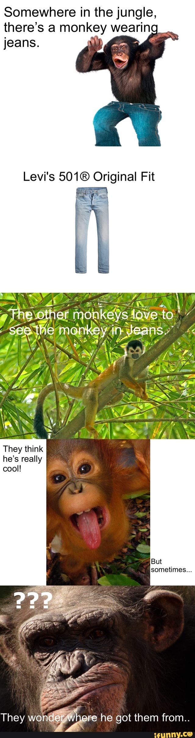 Somewhere in the jungle,
there's a monkey wearin
Levi's 501® Original Fit