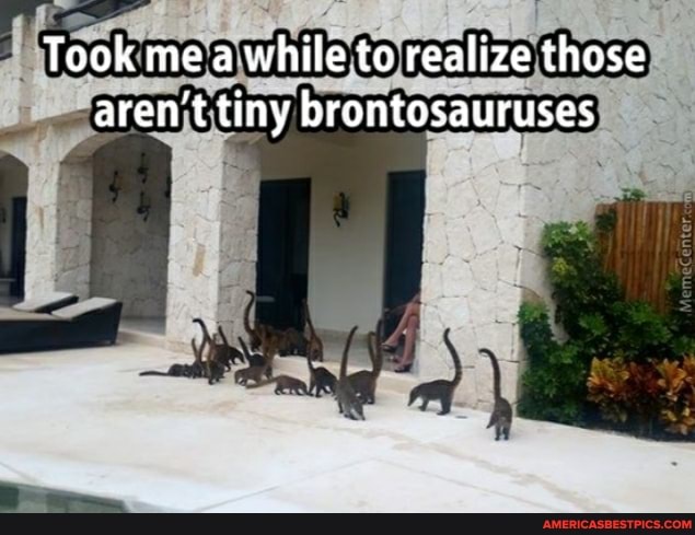 Took me a while to realize those aren't tiny brontosauruses