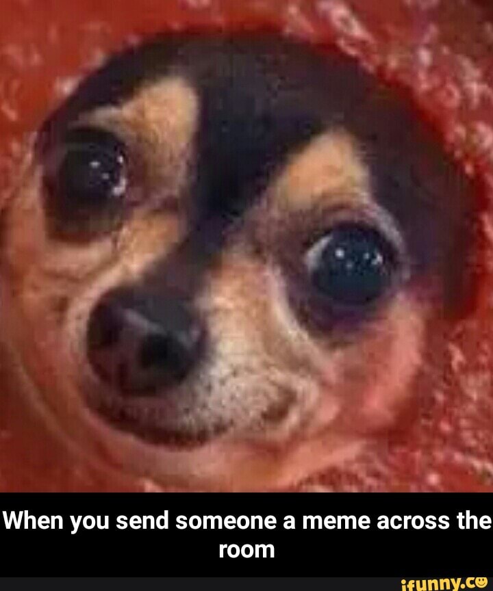 When You Send Someone A Meme Across The Room When You Send Someone A Meme Across The Room Ifunny