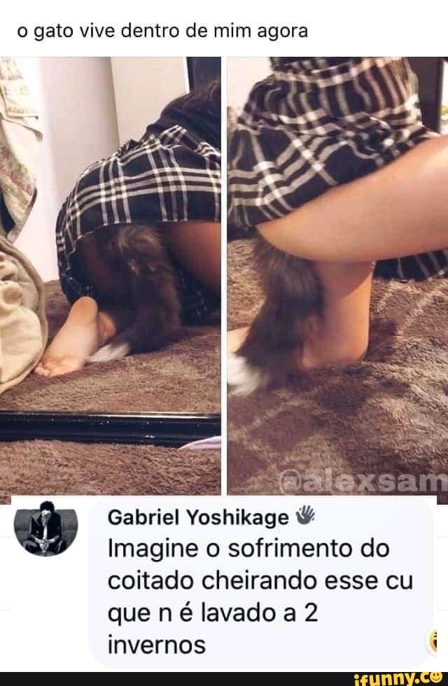 o gato vive dentro de mim agora
Gabriel Yoshikage
Imagine o sofrimento do coitado cheirando esse cu que n é lavado a 2 invernos