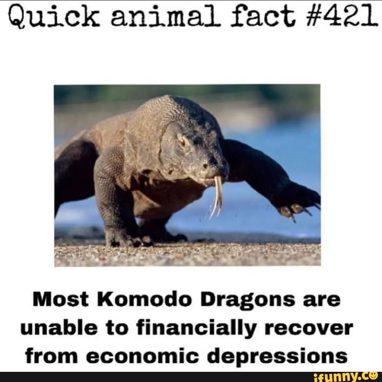 Komodo memes. Best Collection of funny Komodo pictures on iFunny