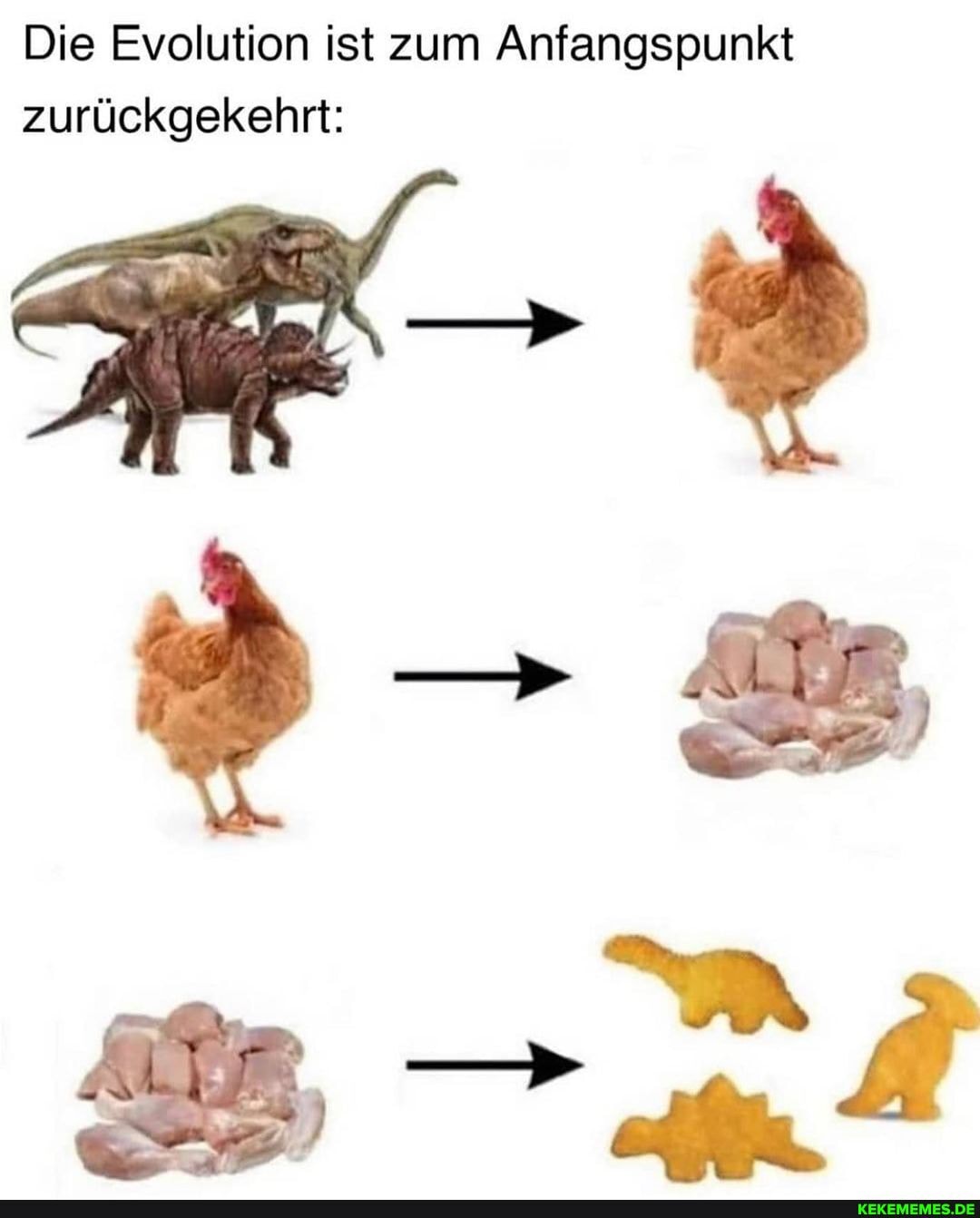 Die Evolution ist zum Anfangspunkt zurückgekehrt:
AR