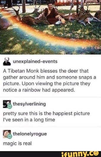 a unexplained-events
A Tibetan Monk blesses the deer that
gather around him and someone snaps a
picture. Upon viewing the picture they
notice a rainbow had appeared.
BB thesyiveriining
pretty sure this is the happiest picture
I've seen in a long time
[3 thetonelyrogue