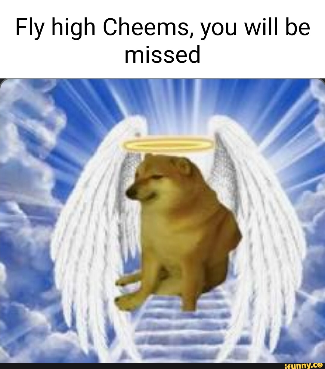 Fly high Cheems, you will be missed I - iFunny