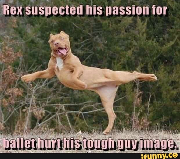 Rex suspected his passion for