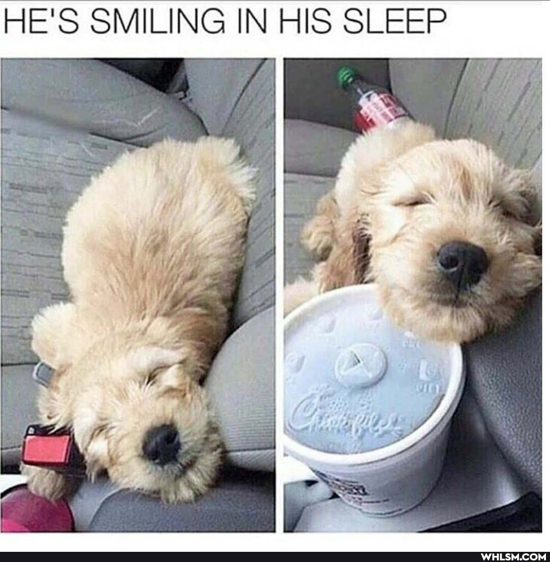 HE'S SMILING IN HIS SLEEP