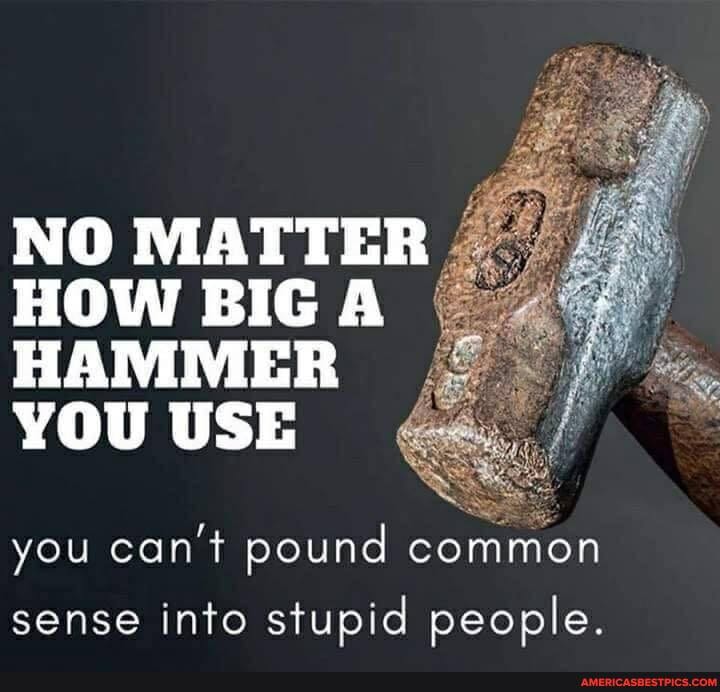 NO MATTER HOW BIG A HAMMER YOU USE
you can't pound common sense into stupid people.