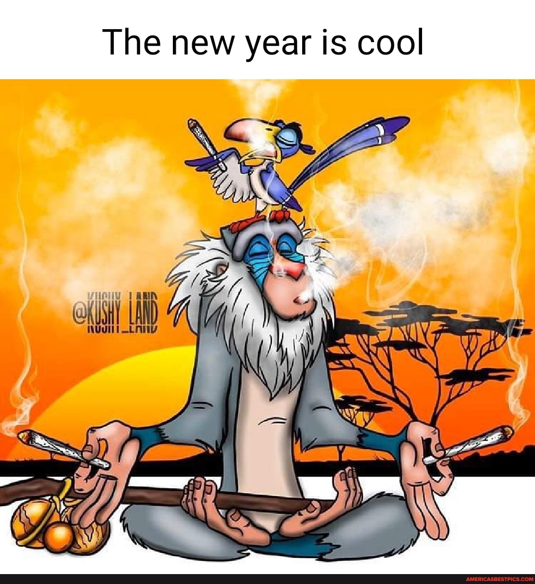 The new year is cool