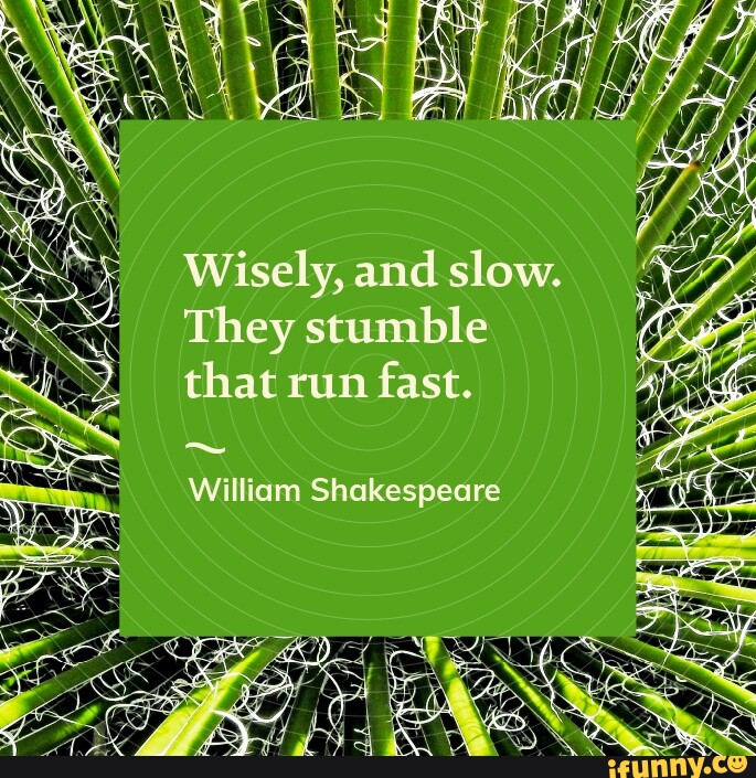 Wisely, and slow. They stumble that run fast. William Shakespeare - iFunny