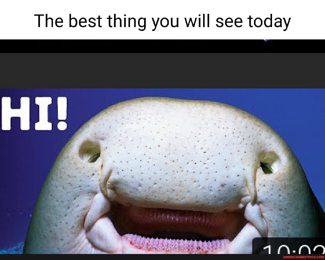 The best thing you will see today