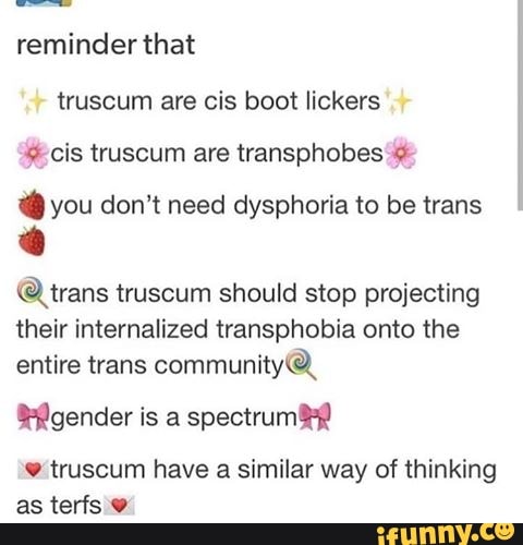 Reminder That Truscum Are Cis Boot Lickers Cis Truscum Are Transphobes C You Don T