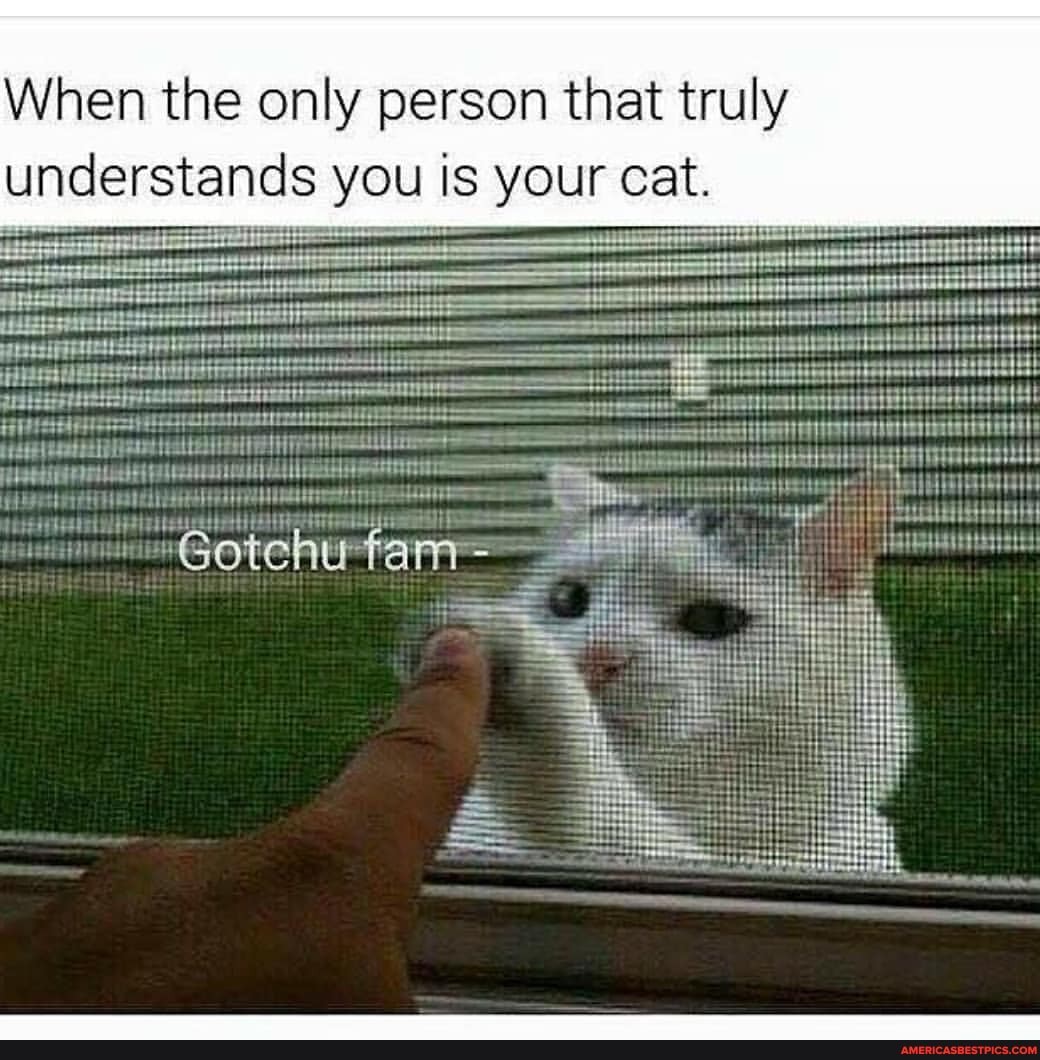 When the only person that truly understands you is your cat.