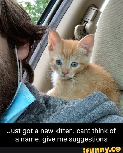 Just got a new kitten. cant think of aname. give me suggestions