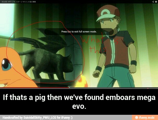 If thats a pig then we've found emboars mega
evo. - If thats a pig then we've found emboars mega evo.