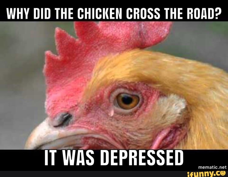 Jokes Seesomethingsaysomething Chickendepressionisreal Funnymeme Humor Why Did The Chicken Cross The Road It Was Depressed