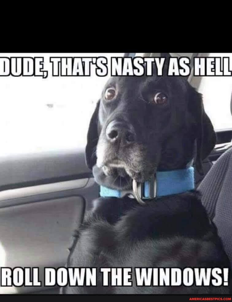 DUDESTHATISINASTY AS HELL
ROLL DOWN THE WINDOWS!
