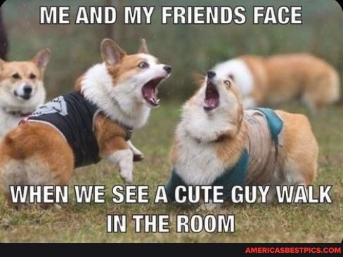 ME AND MY FRIENDS FACE
WHEFR WE SEE & CUTE GUY WALK
IN THE ppnaant