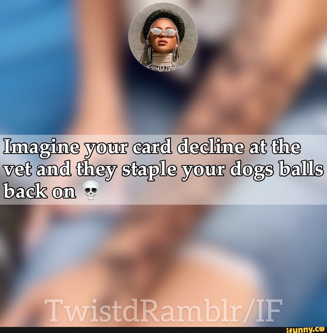 Imagine your card decline at the vet and they staple your dogs balls
back on *
dR