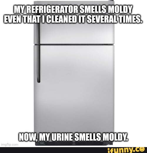 MY REFRIGERATOR SMELLS MOLDY, EVEN THAT I CLEANED IT SEVERAL TIMES NOW