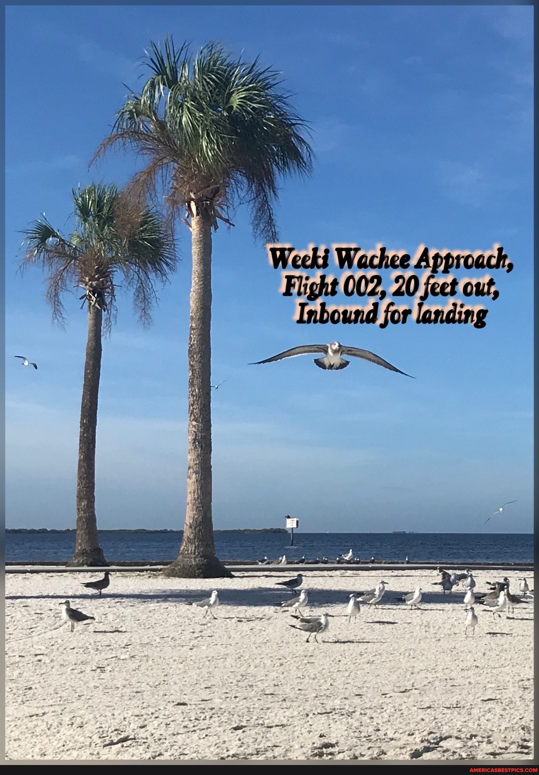 Weeki Wachee Approach,
Fight 002, 20 feet out,
Inbound for landing