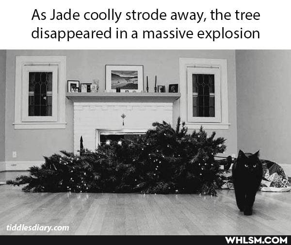 As Jade coolly strode away, the tree disappeared in a massive explosion
pe