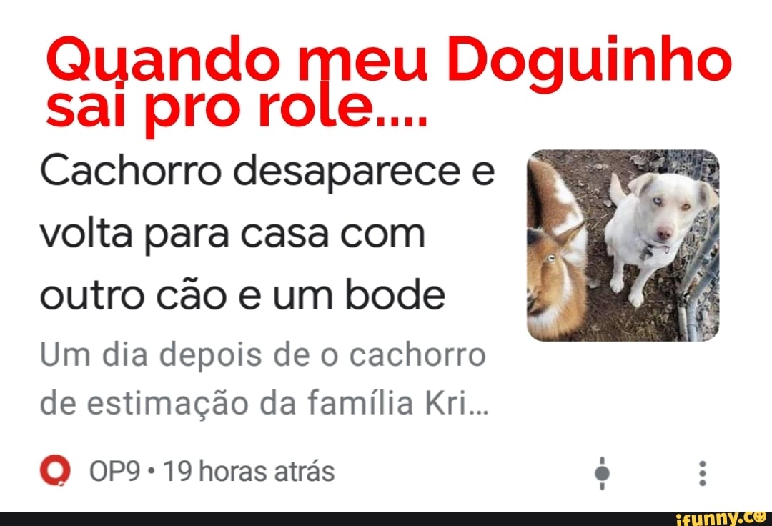 Quando meu Doguinho ou
pro ro
Cachorro desaparece e ai
volta para casa com
outro cão e um bode
Um dia depois de o cachorro
de estimação da família Kri...