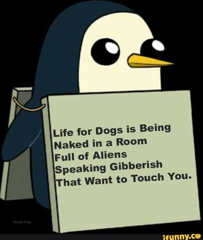 Life for Dogs is Being Naked in a Room Full of Aliens Speaking ...